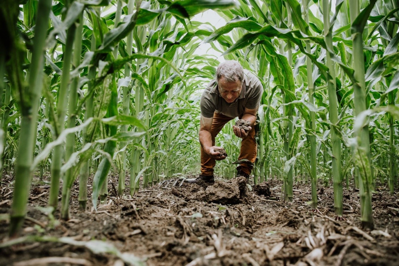 Soil Capital
