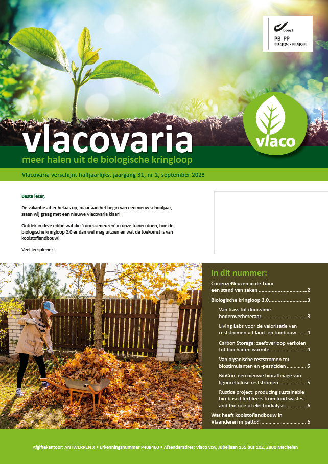 VV 