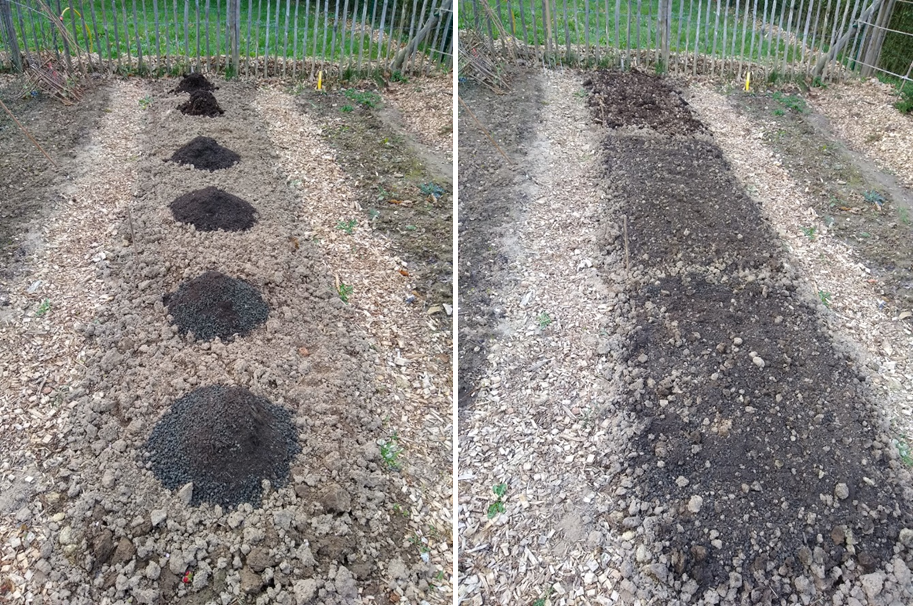 Afbeelding buurtmoestuin De Toekomst